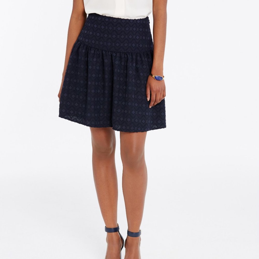 ANN TAYLOR Embroidered Flounce Skirt ~ 12 ~ NWT ~ Navy Blue MSRP $89